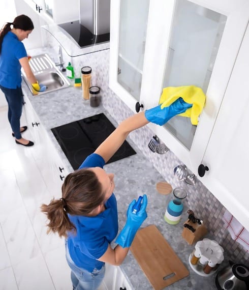 What is General Cleaning?