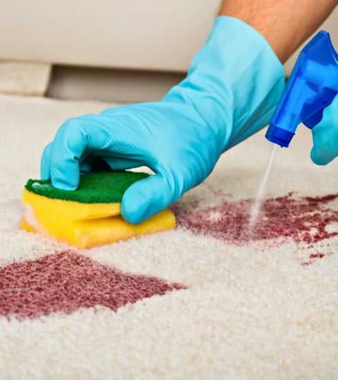 Why Choose Our Carpet Cleaning Services