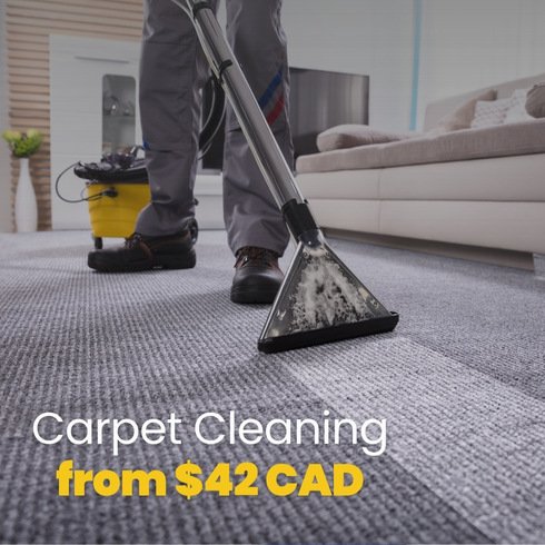 Professional Carpet Cleaning in Burnaby