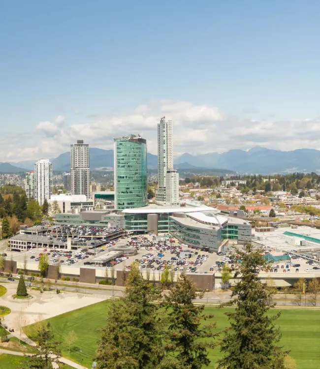 Professional residential cleaning services in Surrey BC for large family homes and condos.