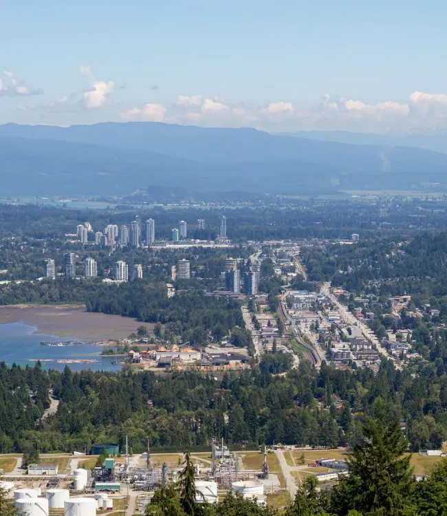 Eco-friendly house cleaning services in Port Moody BC for condos and family homes.